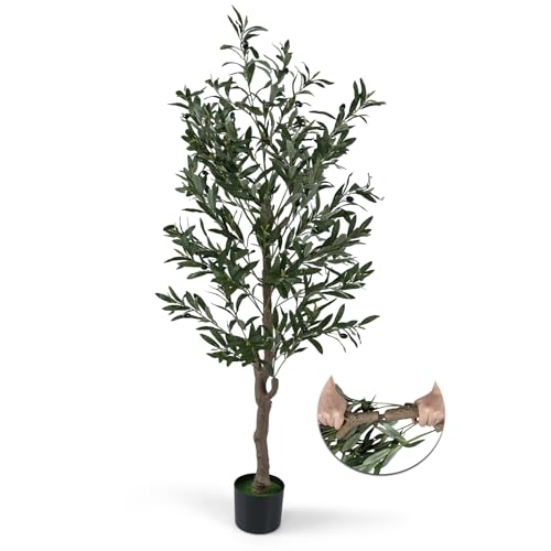 オリーブ 木 室内」の人気商品一覧 | 安い商品を通販サイトから探す